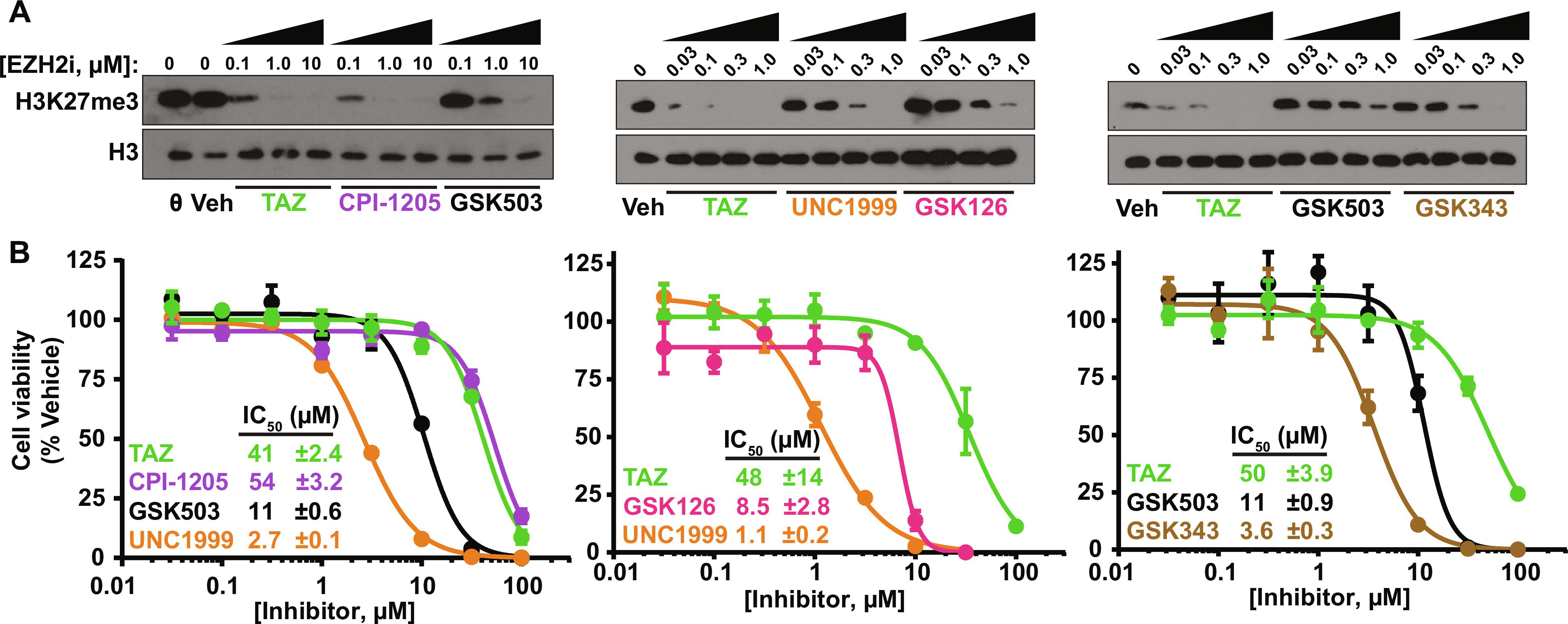 Select EZH2 inhibitors enhance viral mimicry effects of DNMT inhibition through a mechanism involving NFAT:AP-1 signaling