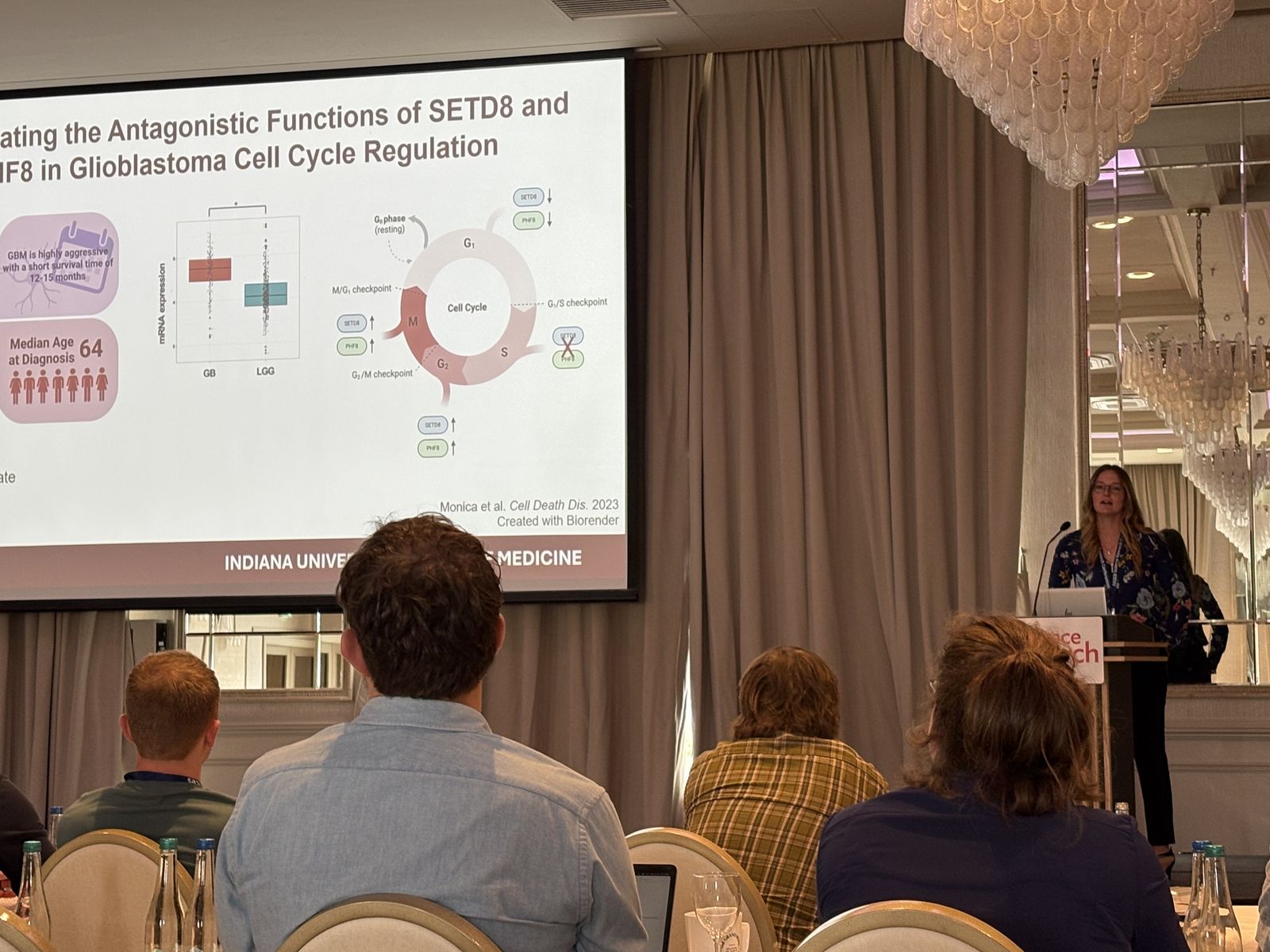 Biological Methylation Photo
